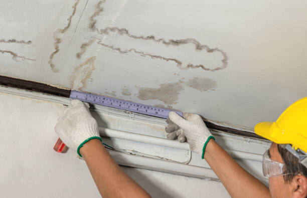 Reliable Basement Water Removal contractor in Sulphur Springs, TX by Water Damage Irwin